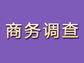 海南区商务调查